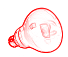 Klematis